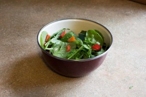 Half-Pound Salad Biger Bowl