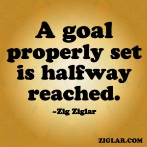 Zig-A Goal Properly Set